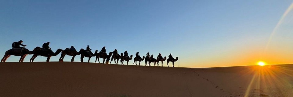 Book your trip